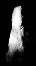(photo - 3k mono jpeg)